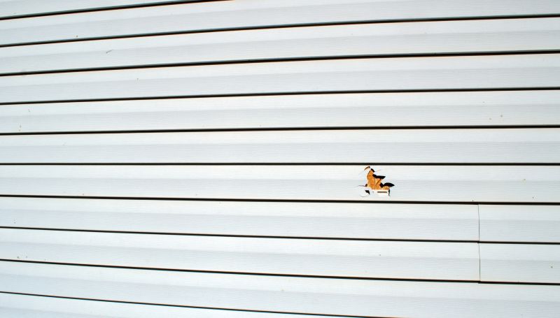 Expert Sealing of Vinyl Siding